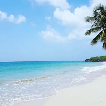 - Les Pieds Dans L'Eau A 50M De La Plage, Cote Mer Caraibe - Domaine De L'Anse Caritan - Sainte-Anne - Eksteriør bilde