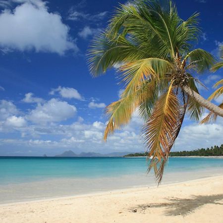 - Les Pieds Dans L'Eau A 50M De La Plage, Cote Mer Caraibe - Domaine De L'Anse Caritan - Sainte-Anne - Eksteriør bilde