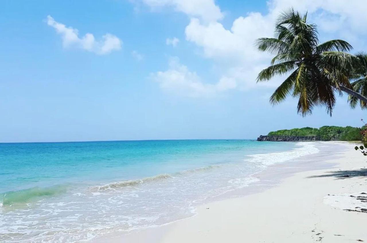 - Les Pieds Dans L'Eau A 50M De La Plage, Cote Mer Caraibe - Domaine De L'Anse Caritan - Sainte-Anne - Eksteriør bilde