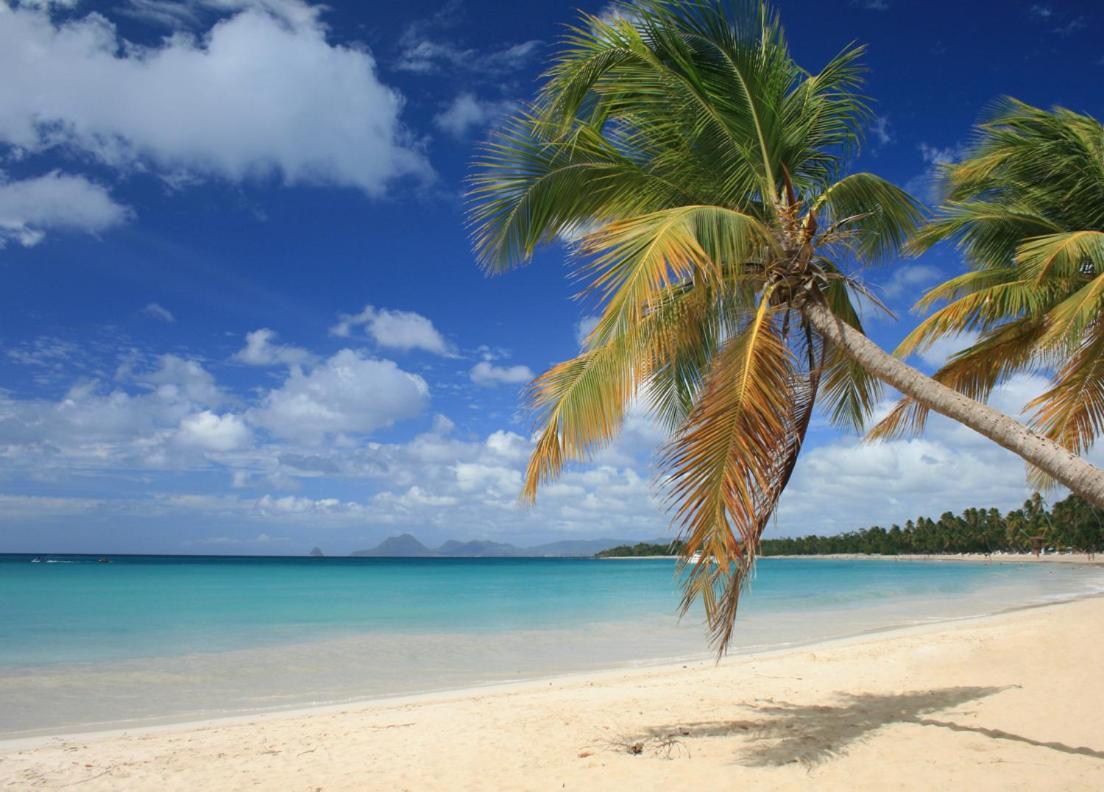- Les Pieds Dans L'Eau A 50M De La Plage, Cote Mer Caraibe - Domaine De L'Anse Caritan - Sainte-Anne - Eksteriør bilde